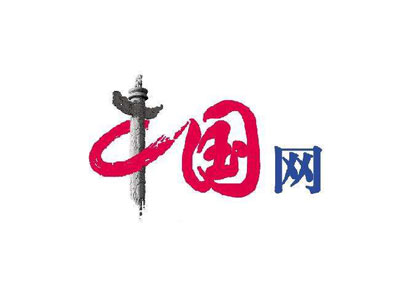 中國網：智能安防 科技強警 哈瓦無人機降落亞歐安博會